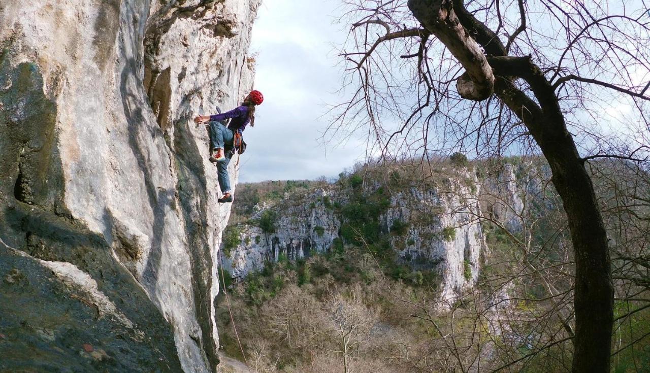 Orljak Lanisce