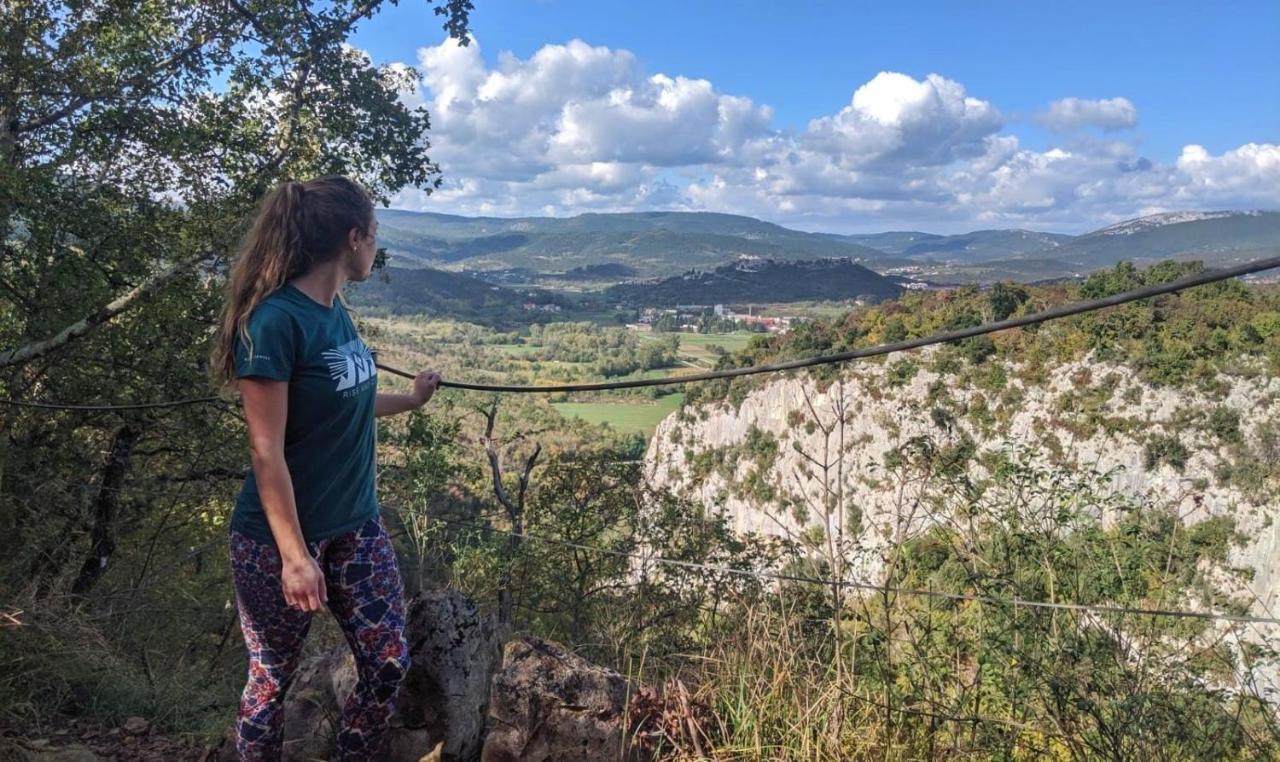 Orljak Lanisce